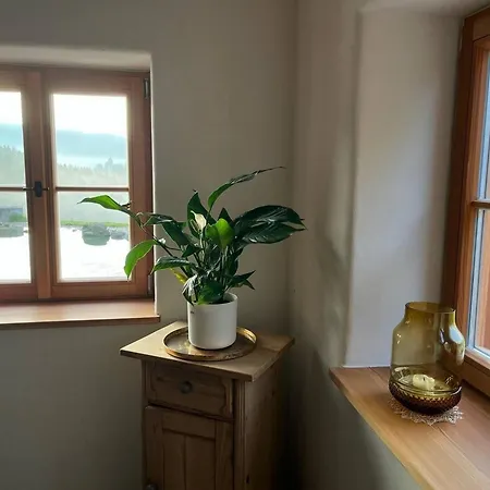 Lovely Chalet In - What'app - 0039-3512-039-610 - For Reservations! 드라흐젤스리에트
